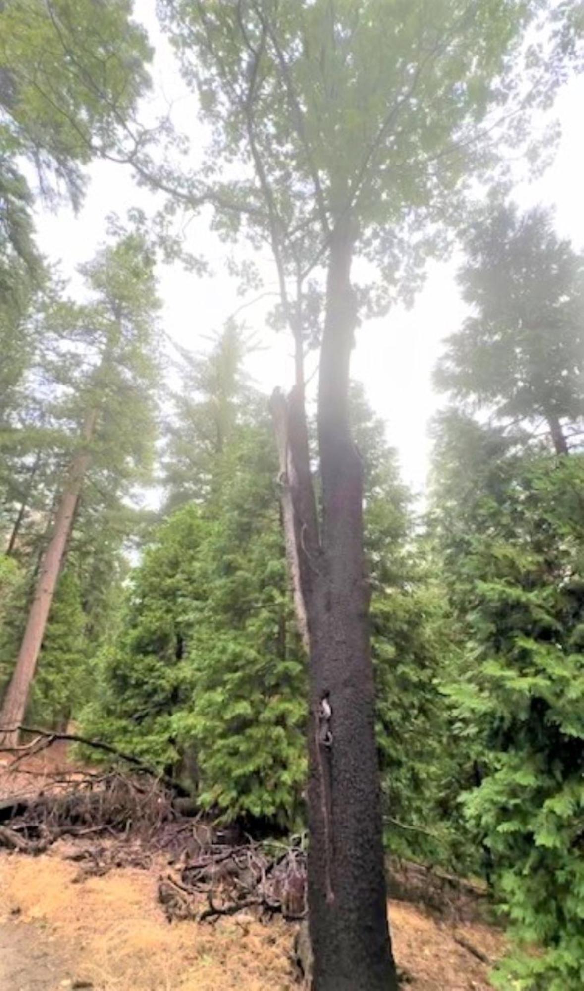 North Bay At Lake Arrowhead Blue Jay Exterior foto